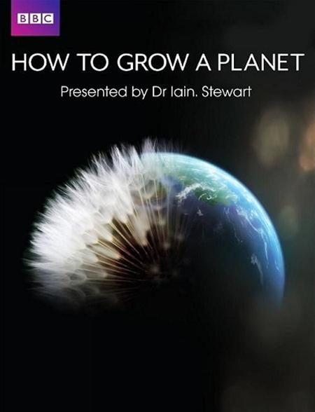How to grow a planet