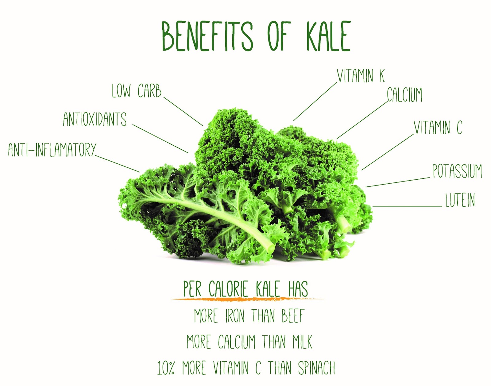 Benefits of kale