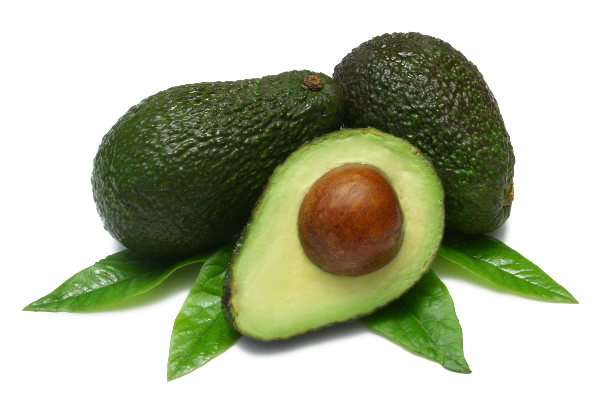 avocado-and-leaves