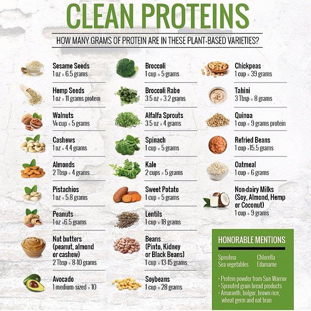 Clean vege plant proteins